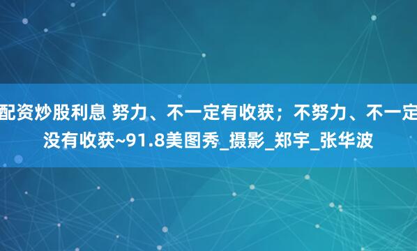 配资炒股利息 努力、不一定有收获；不努力、不一定没有收获~91.8美图秀_摄影_郑宇_张华波