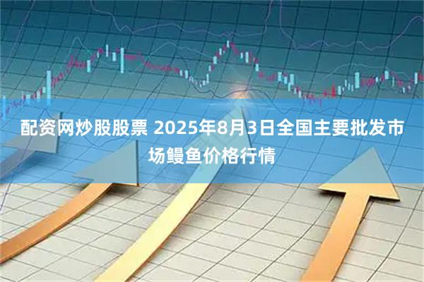 配资网炒股股票 2025年8月3日全国主要批发市场鳗鱼价格行情