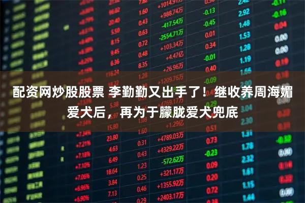 配资网炒股股票 李勤勤又出手了！继收养周海媚爱犬后，再为于朦胧爱犬兜底