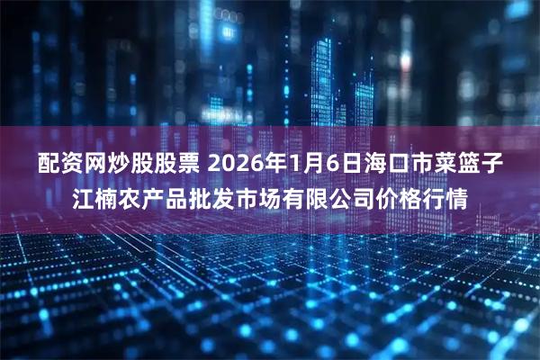 配资网炒股股票 2026年1月6日海口市菜篮子江楠农产品批发市场有限公司价格行情